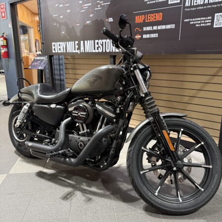 2018 Iron 883 thumb 3