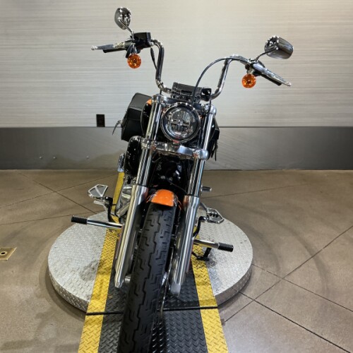 FXST 2023 Softail® Standard thumb 2