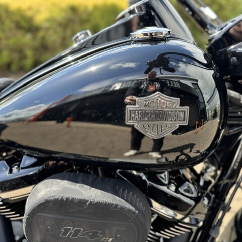 Road King Special , Black on Black, Last one we will get new  thumb 1