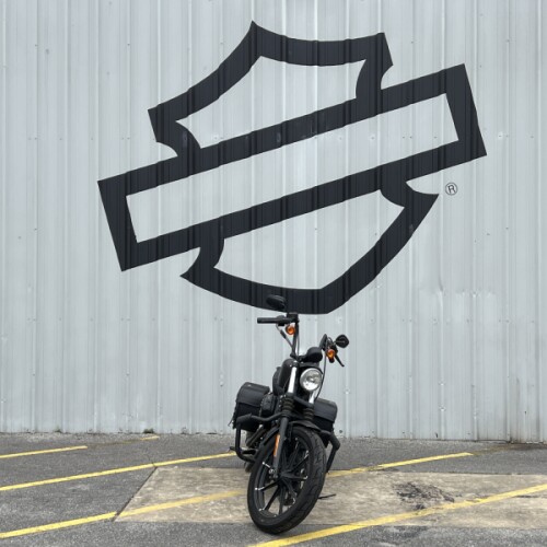 2021 Harley-Davidson® Iron 883™ River Rock Gray Denim thumb 3