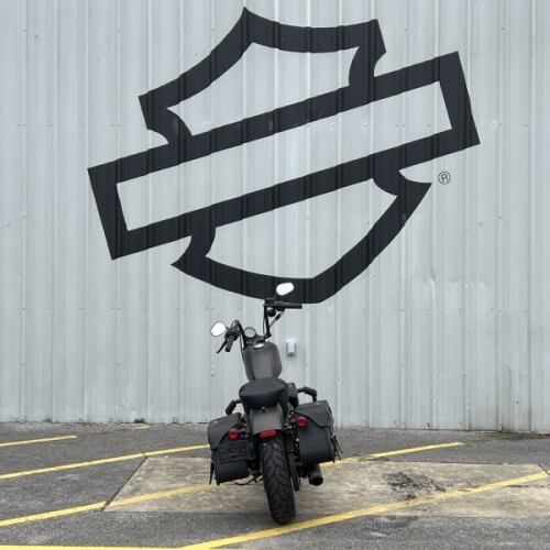 2021 Harley-Davidson® Iron 883™ River Rock Gray Denim thumb 1