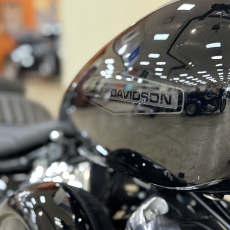 FXST 2020 Softail Standard® thumb 2
