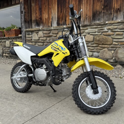 2025 Suzuki DR-Z50 Champion Yellow No. 2 thumb 1