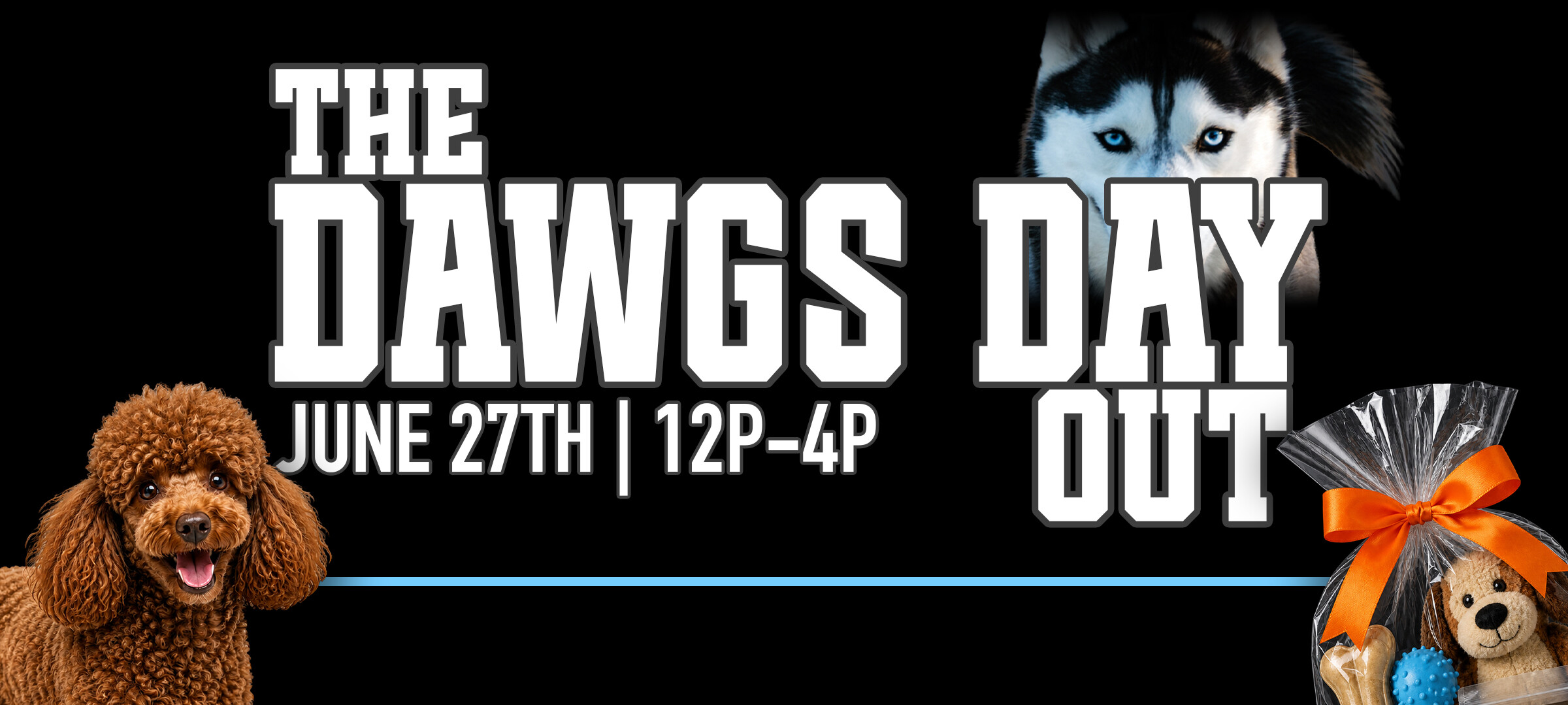 The Dawgs Day Out