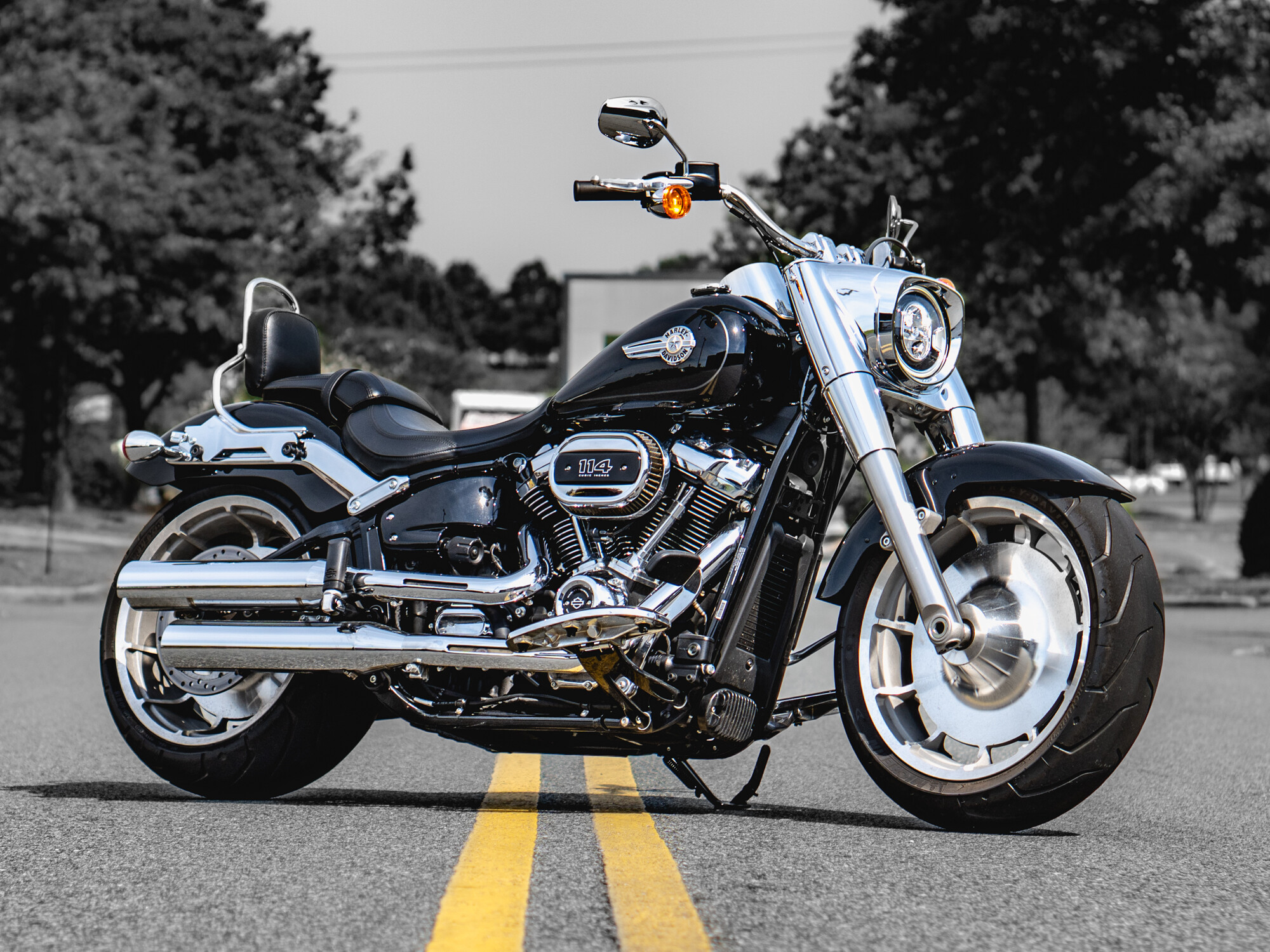 FLFBS 2024 Fat Boy™ 114