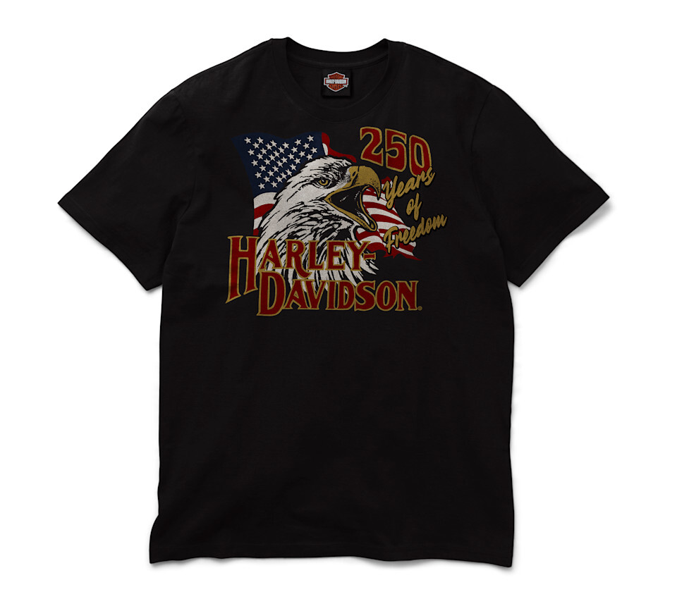 H-D® Eagle Up Independence Men's Dealer Tee
