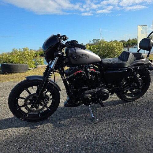 2016 Harley-Davidson XL883N thumb 3