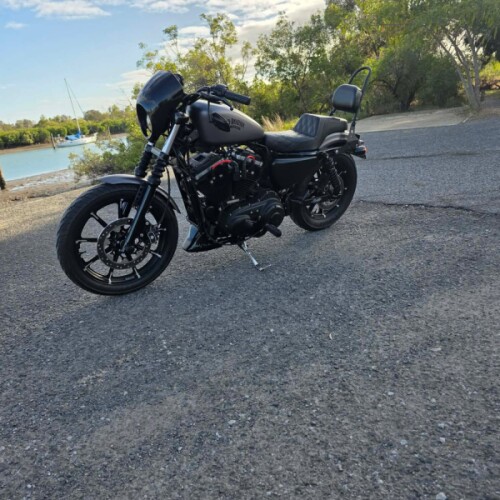 2016 Harley-Davidson XL883N thumb 2