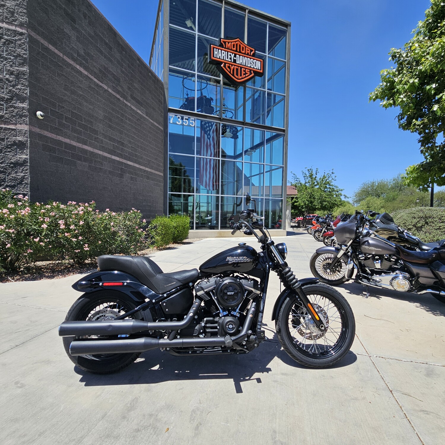 FXBB 2018 Street Bob®