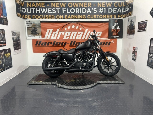 Used 2022 Harley-Davidson Iron 883 for Sale in Sarasota, FL