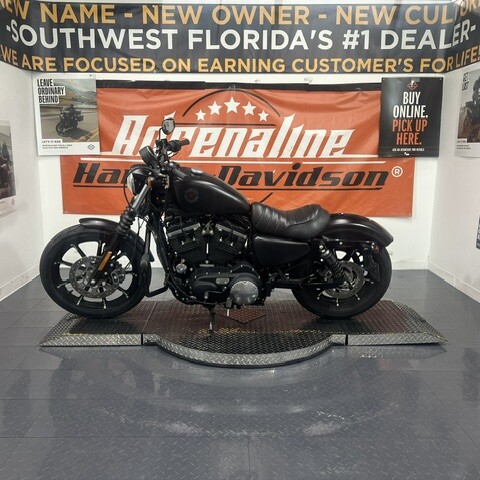 Used 2022 Harley-Davidson Iron 883 for Sale in Sarasota, FL thumb 3