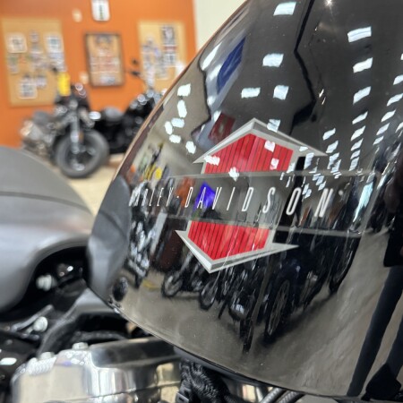 XL 1200X 2022 Forty-Eight® thumb 3