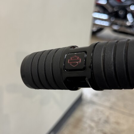 FXBB 2020 Street Bob® thumb 0