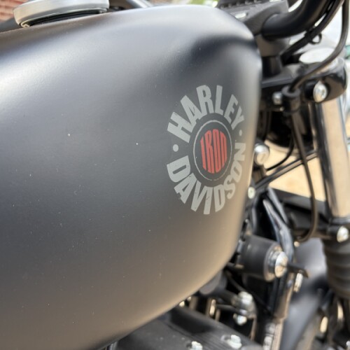 2022 Harley-Davidson® Iron 883™ Black Denim thumb 2