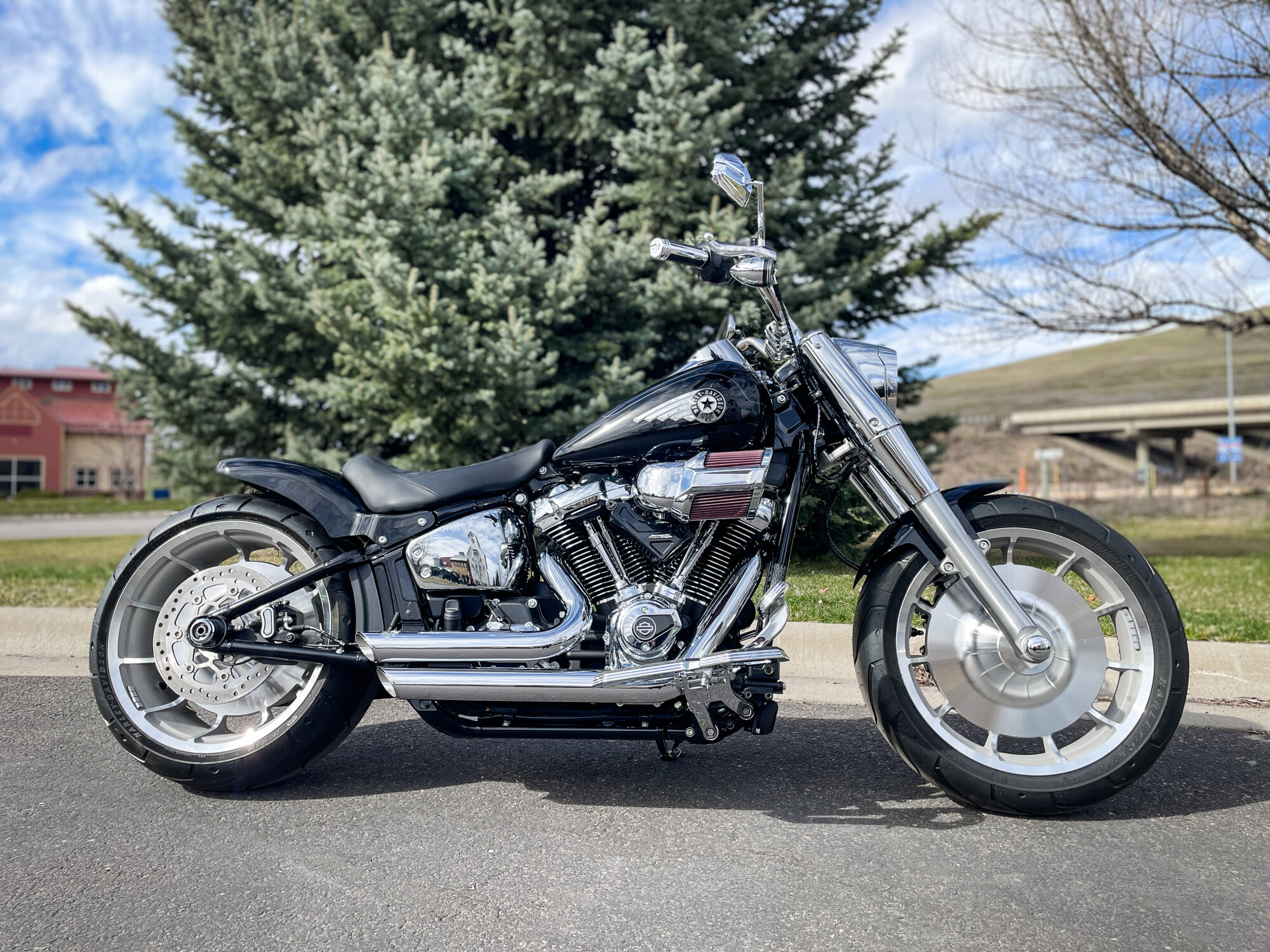 2025 Harley-Davidson® Fat Boy® Vivid Black | Young Grizzly Harley