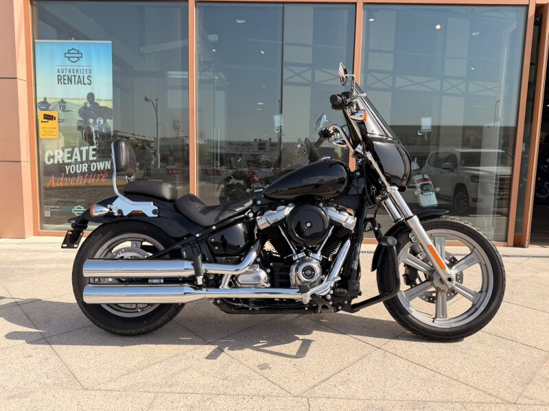 2022 Harley-Davidson® Softail™ Standard Vivid Black