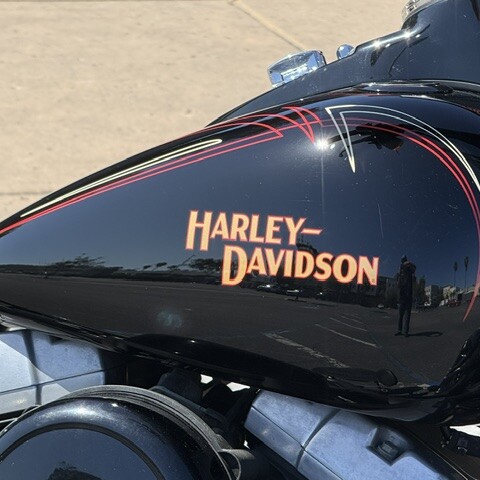 2009 Harley-Davidson® Softail® Cross Bones™ thumb 1