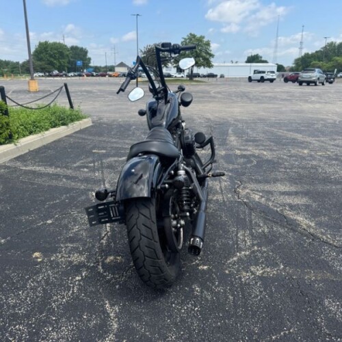 XL 883N 2021 Iron 883™ thumb 1