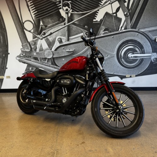 2013 Iron 883™ XL 883N thumb 3