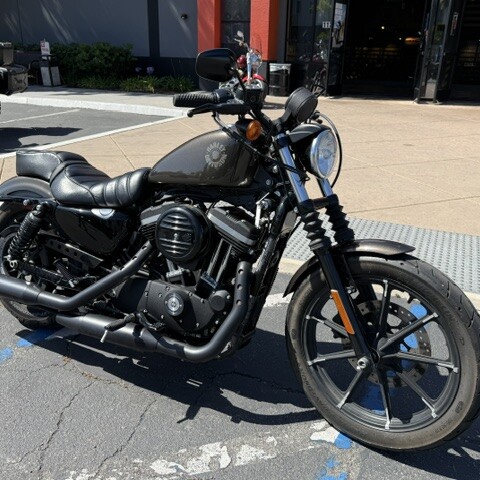 2020 Harley-Davidson® Iron 883™ thumb 3