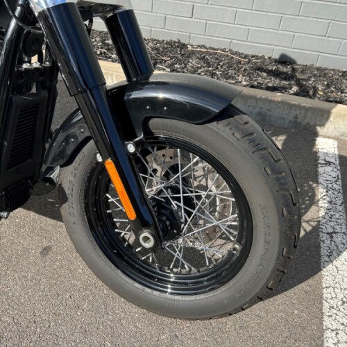 2020 FLSL Softail Slim 107ci  thumb 0