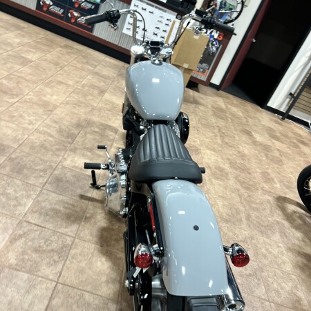  2024 Harley-Davidson® Softail™ Standard thumb 2
