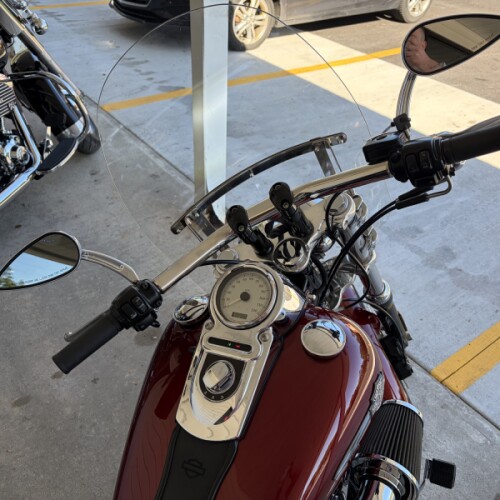 FXDF 2009 Fat Bob® thumb 1