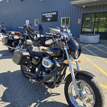 2016 Harley-Davidson® 1200 Custom  thumb 3