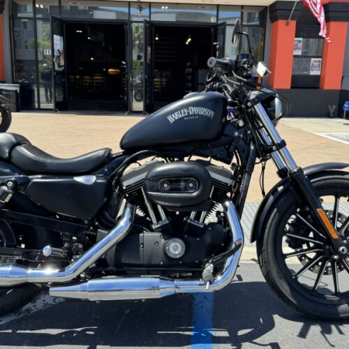 2014 Harley-Davidson® Iron 883™ thumb 3