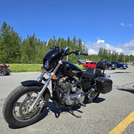 2016 Harley-Davidson® 1200 Custom  thumb 1