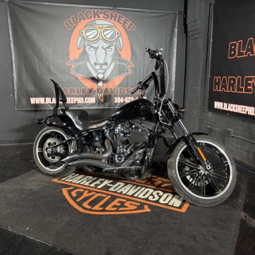 2019 Harley-Davidson® Breakout® 114 FXBRS  thumb 2