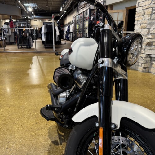 FLSL 2019 Softail Slim® thumb 0