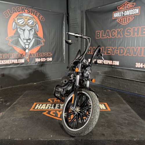 2019 Harley-Davidson® Breakout® 114 FXBRS  thumb 1