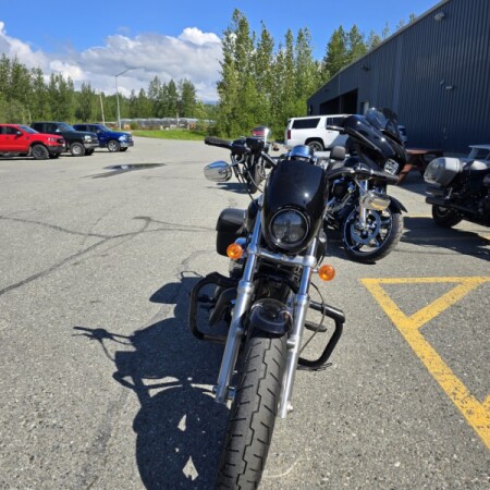 2016 Harley-Davidson® 1200 Custom  thumb 2