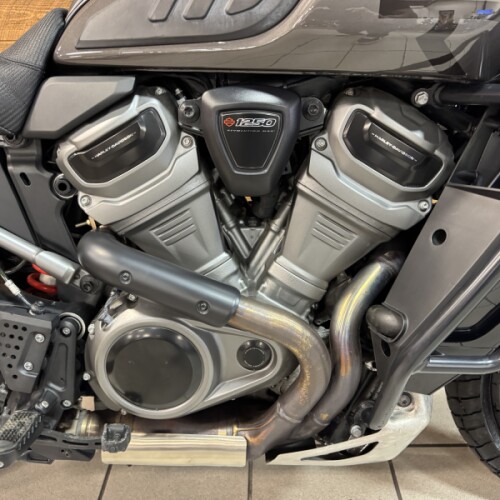 2023 Harley-Davidson® Pan America™ 1250 Special Gray Haze RA1250S thumb 2