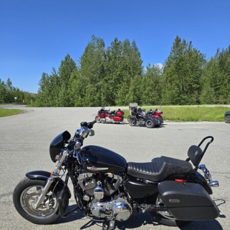 2016 Harley-Davidson® 1200 Custom  thumb 0