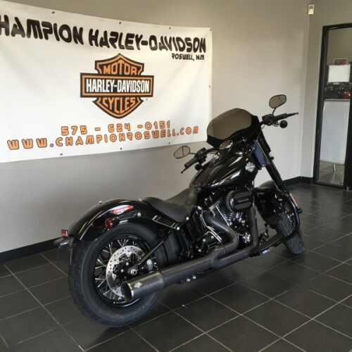 Softail Slim® S thumb 0