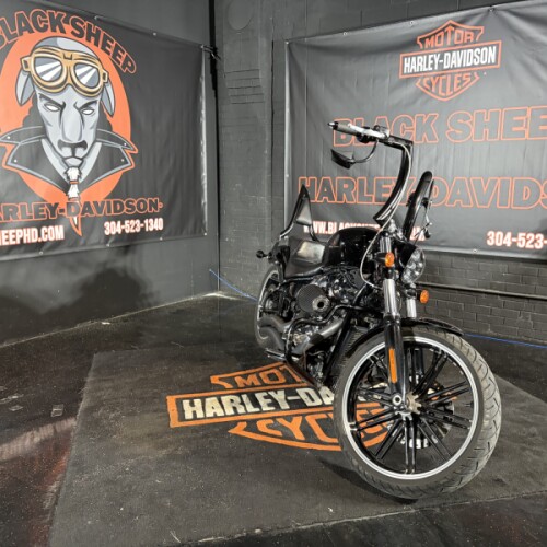 2019 Harley-Davidson® Breakout® 114 FXBRS  thumb 0