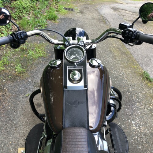 2013 Harley-Davidson® Fat Boy® Lo 110th Anniversary Edition Anniversary Vintage Bronze/Anniversary V thumb 0