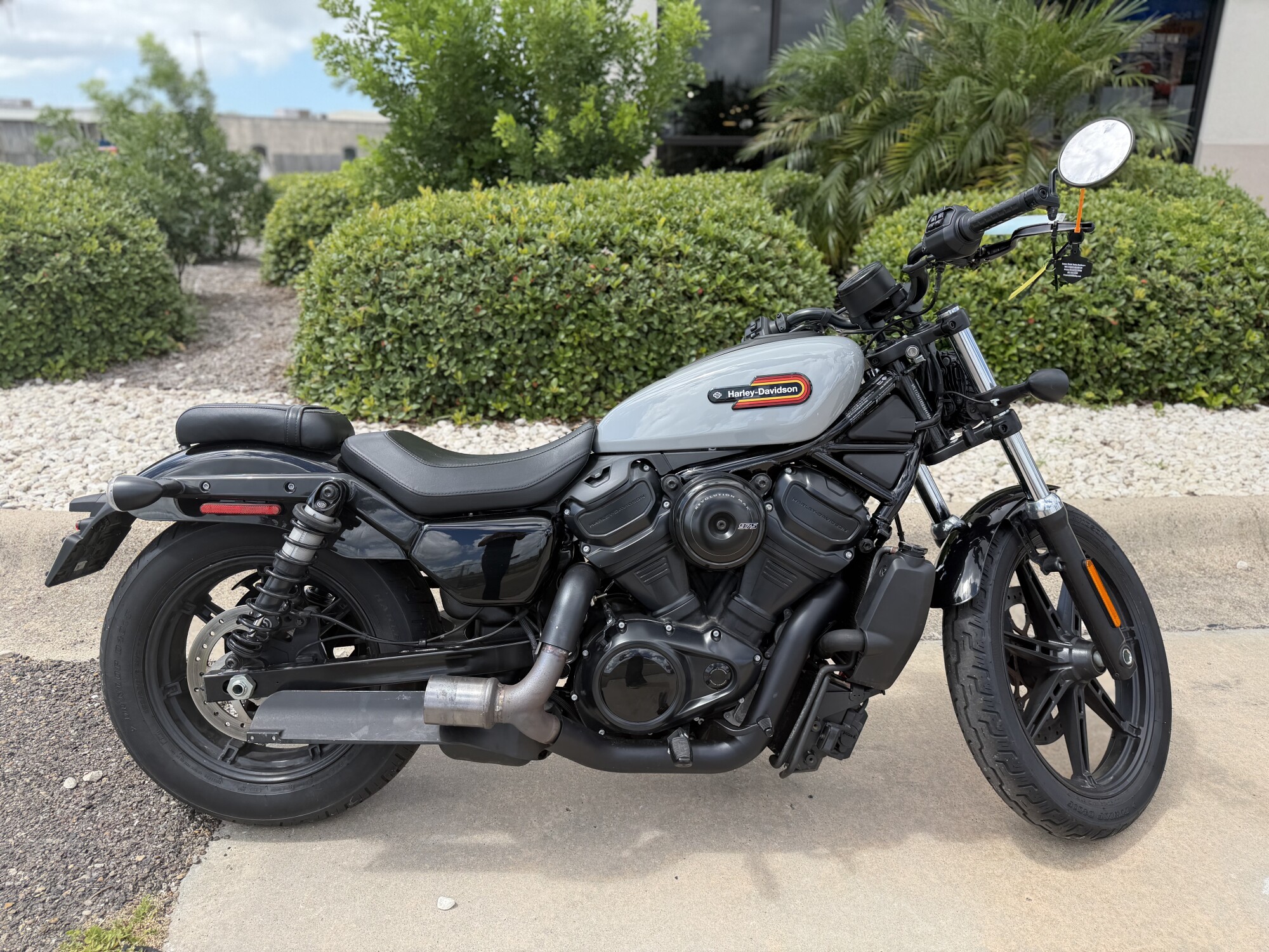 2025 Harley-Davidson® Nightster® Billiard Gray