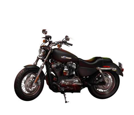 XL1200CP 2014 1200 Custom Factory Customization
