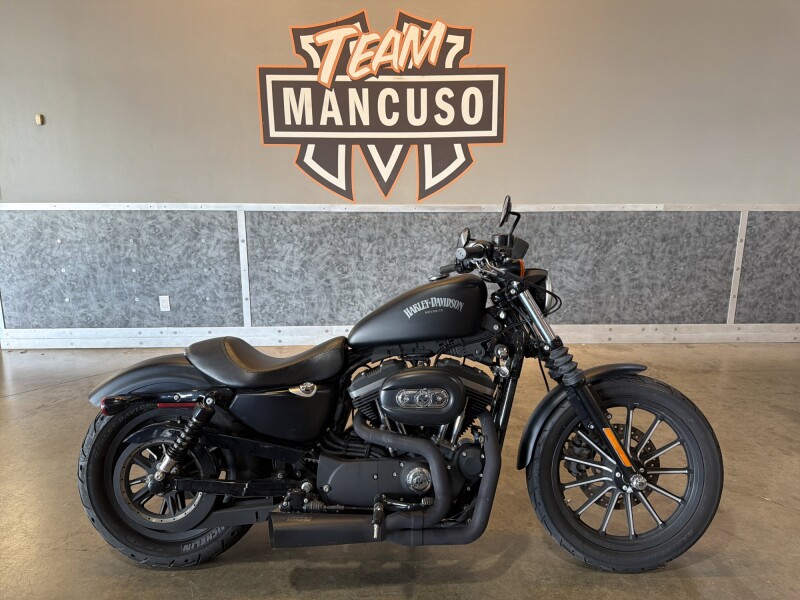 XL 883N 2014 Iron 883™
