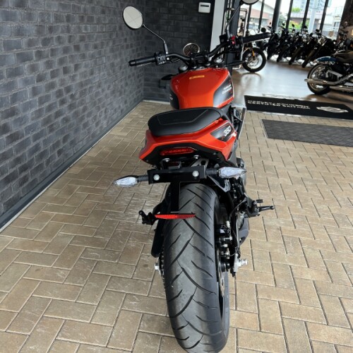 2024 Harley-Davidson® Harley-Davidson X™ 350 Dynamic Orange thumb 1