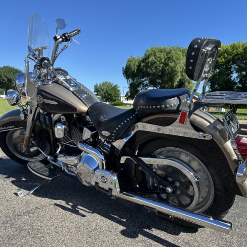 2004 Harley-Davidson® Heritage Softail® Classic Two-Tone Smokey Gold and Vivid Black thumb 2