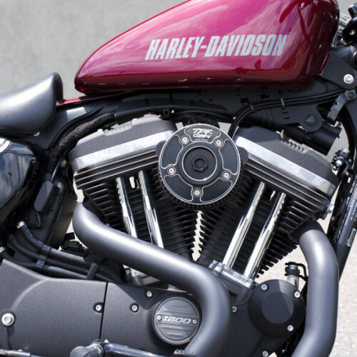 XL1200R 2017 Roadster™ thumb 3