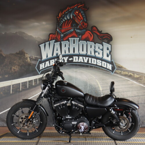 XL 883N 2022 Iron 883™ thumb 0