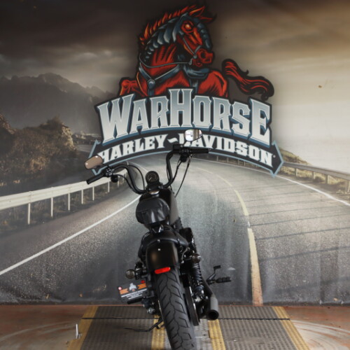 XL 883N 2022 Iron 883™ thumb 2