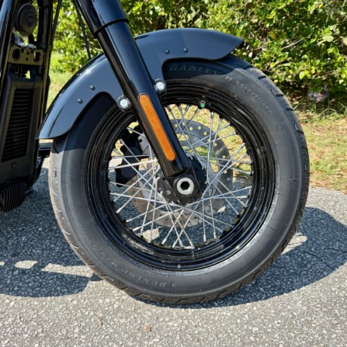2020 Harley-Davidson Softail Slim FLSL thumb 0