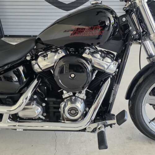 2024 Harley-Davidson® Softail® Standard Vivid Black thumb 1
