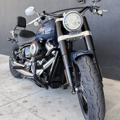 FLSL 2019 Softail Slim® thumb 2